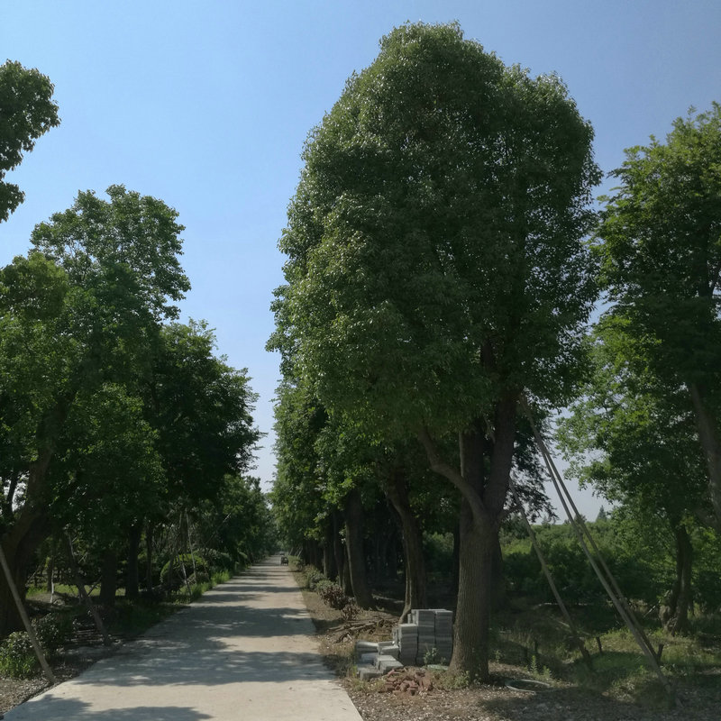 &#38134;&#27827;&#28216;&#25103;&#24179;&#21488;&#97;&#112;&#112;&#40;&#23448;&#26041;&#32593;&#31449;&#41;&#32;&#45;&#32;&#65;&#80;&#80;&#19979;&#36733;&#73;&#79;&#83;&#47;&#23433;&#21331;&#47;&#20840;&#31449;&#36890;&#29992;&#29256;